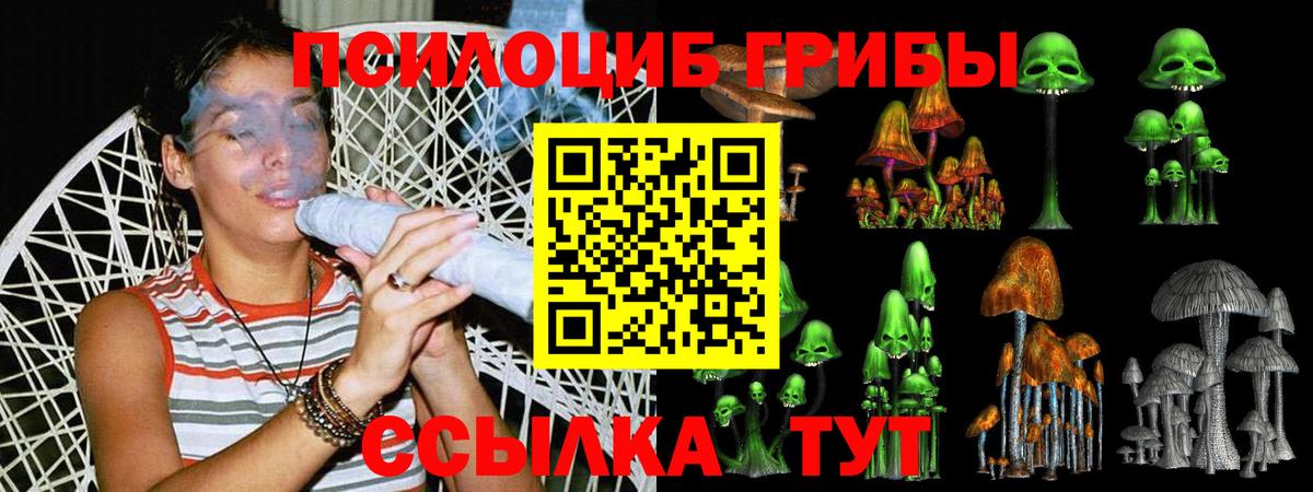 Галлюциногенные грибы MAGIC MUSHROOMS  как найти   Россия  Галлюциногенные грибы Psilocybine cubensis  Вход с VPN 