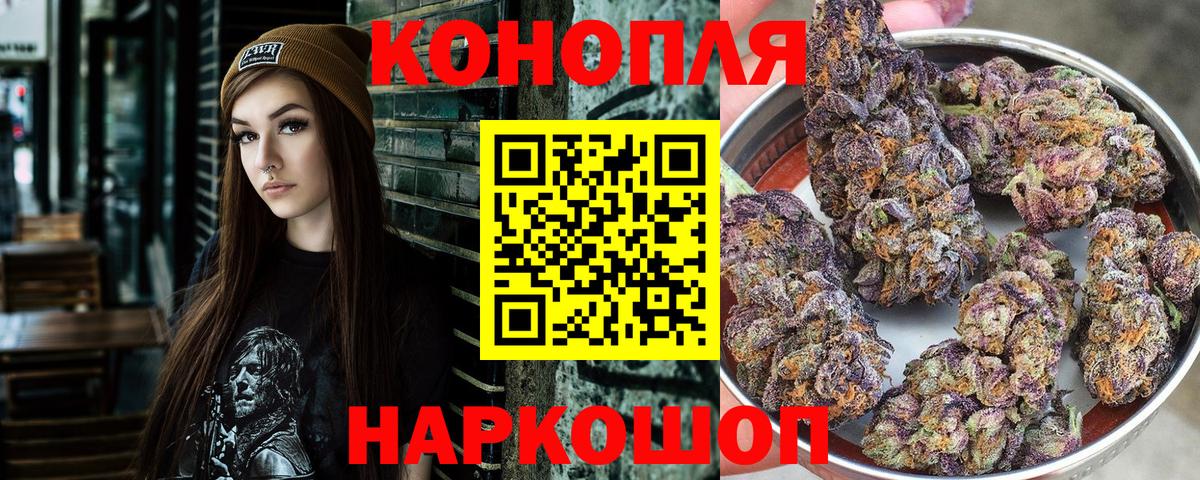Конопля гибрид Россия